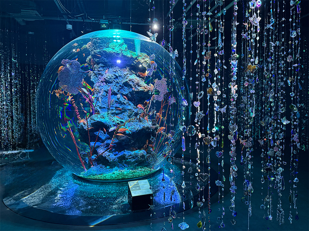 atoaの直径3mの水槽