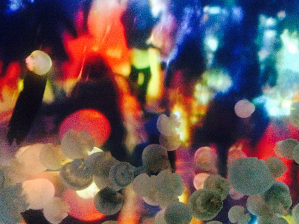 すみだ水族館×蜷川実花 クラゲ万華鏡トンネル より